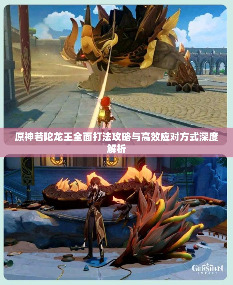 原神若陀龙王全面打法攻略与高效应对方式深度解析