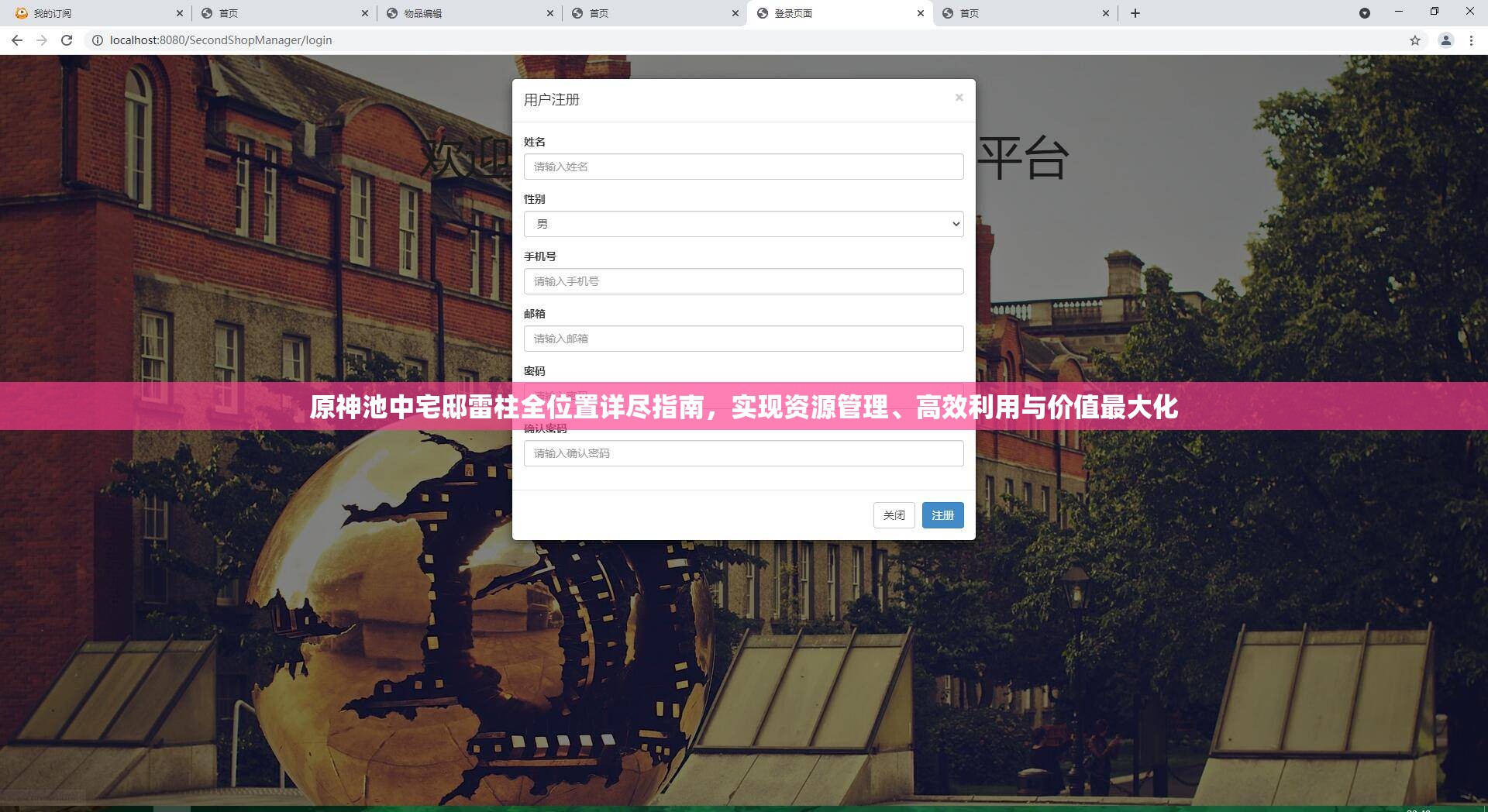 原神池中宅邸雷柱全位置详尽指南，实现资源管理、高效利用与价值最大化