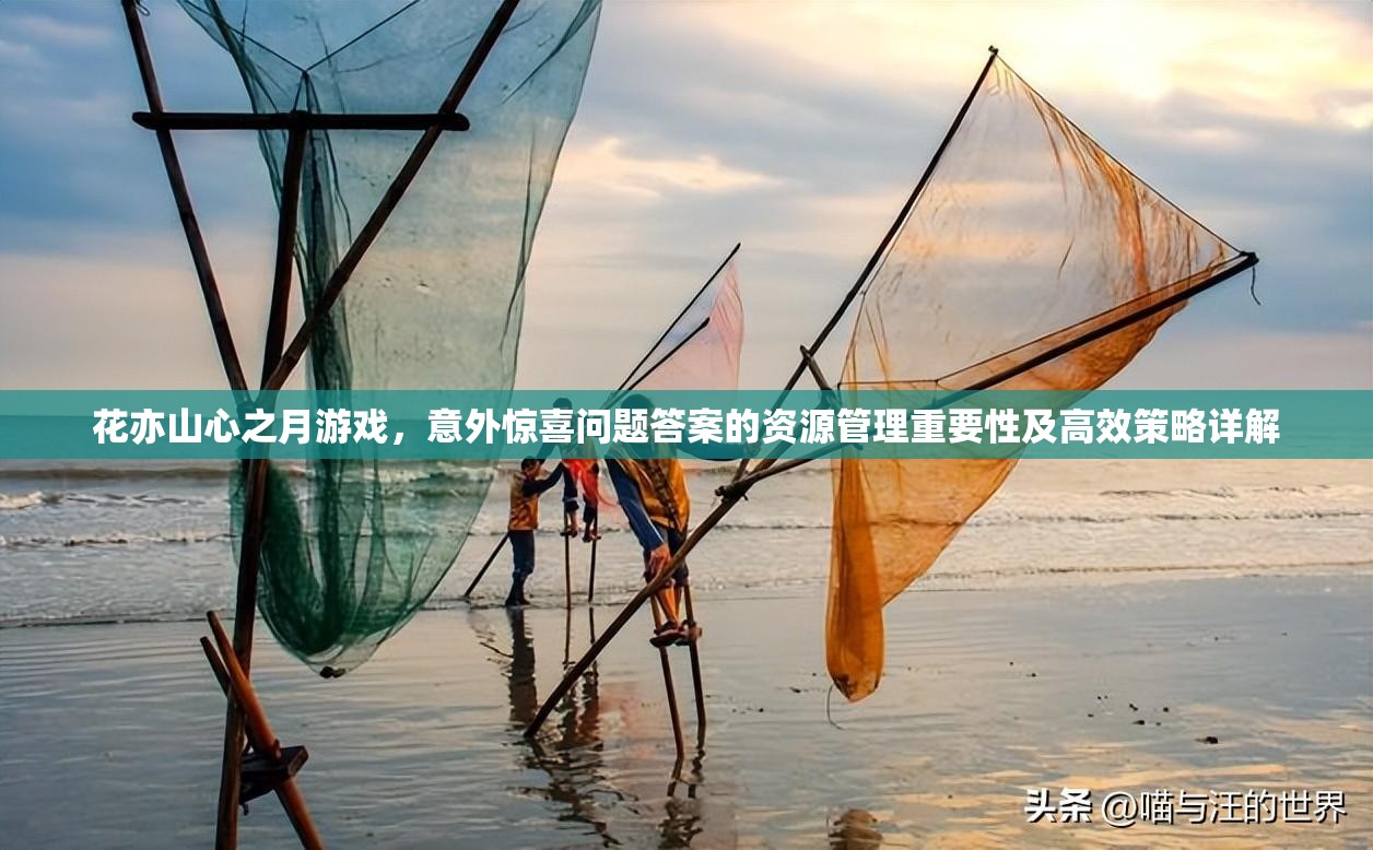 花亦山心之月游戏，意外惊喜问题答案的资源管理重要性及高效策略详解
