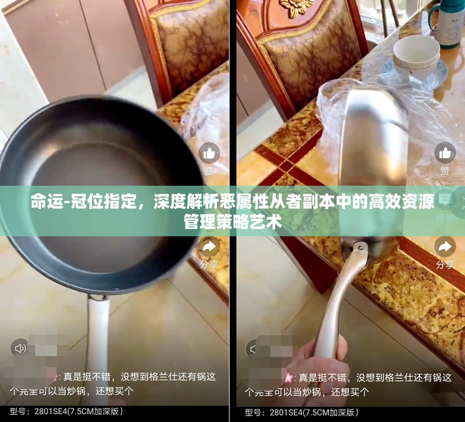 命运-冠位指定，深度解析恶属性从者副本中的高效资源管理策略艺术