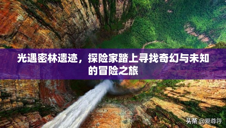 光遇密林遗迹，探险家踏上寻找奇幻与未知的冒险之旅