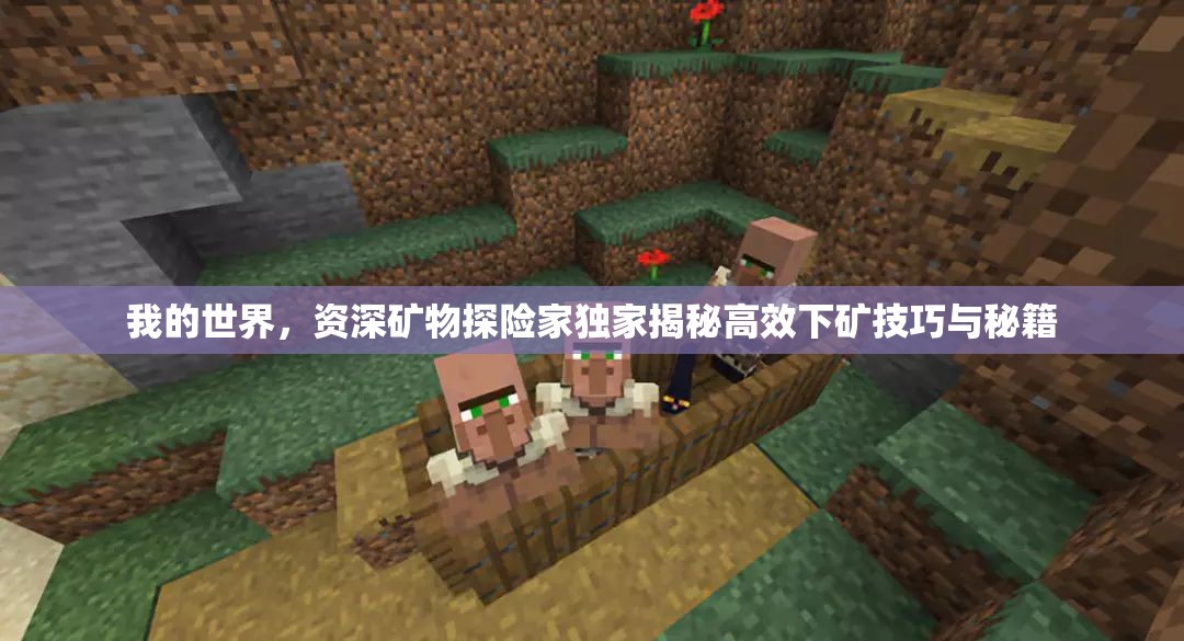 我的世界，资深矿物探险家独家揭秘高效下矿技巧与秘籍