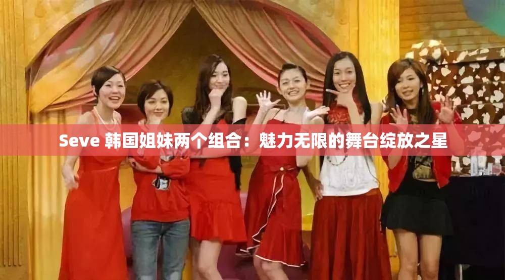 Seve 韩国姐妹两个组合：魅力无限的舞台绽放之星