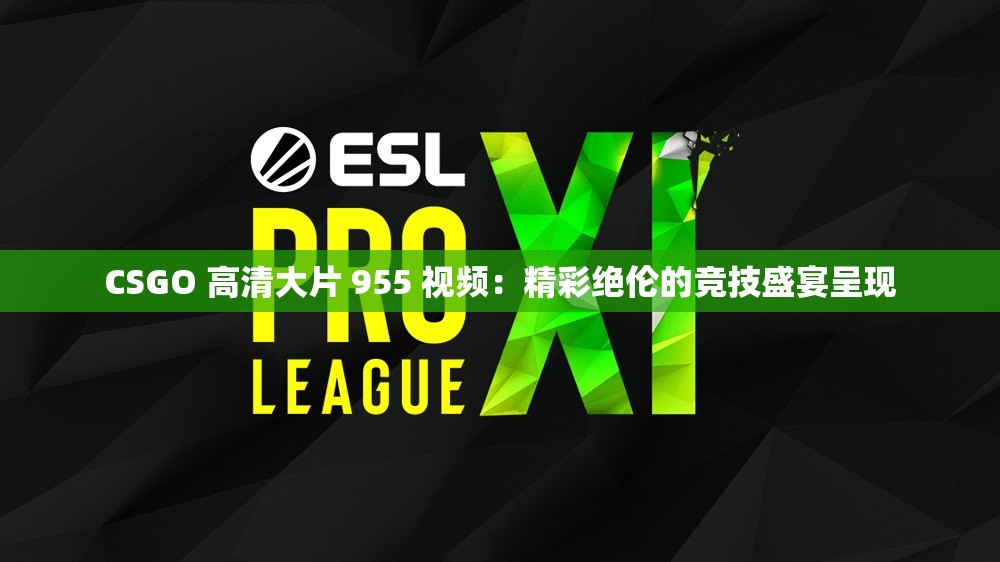 CSGO 高清大片 955 视频：精彩绝伦的竞技盛宴呈现