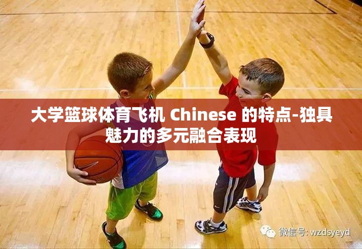 大学篮球体育飞机 Chinese 的特点-独具魅力的多元融合表现