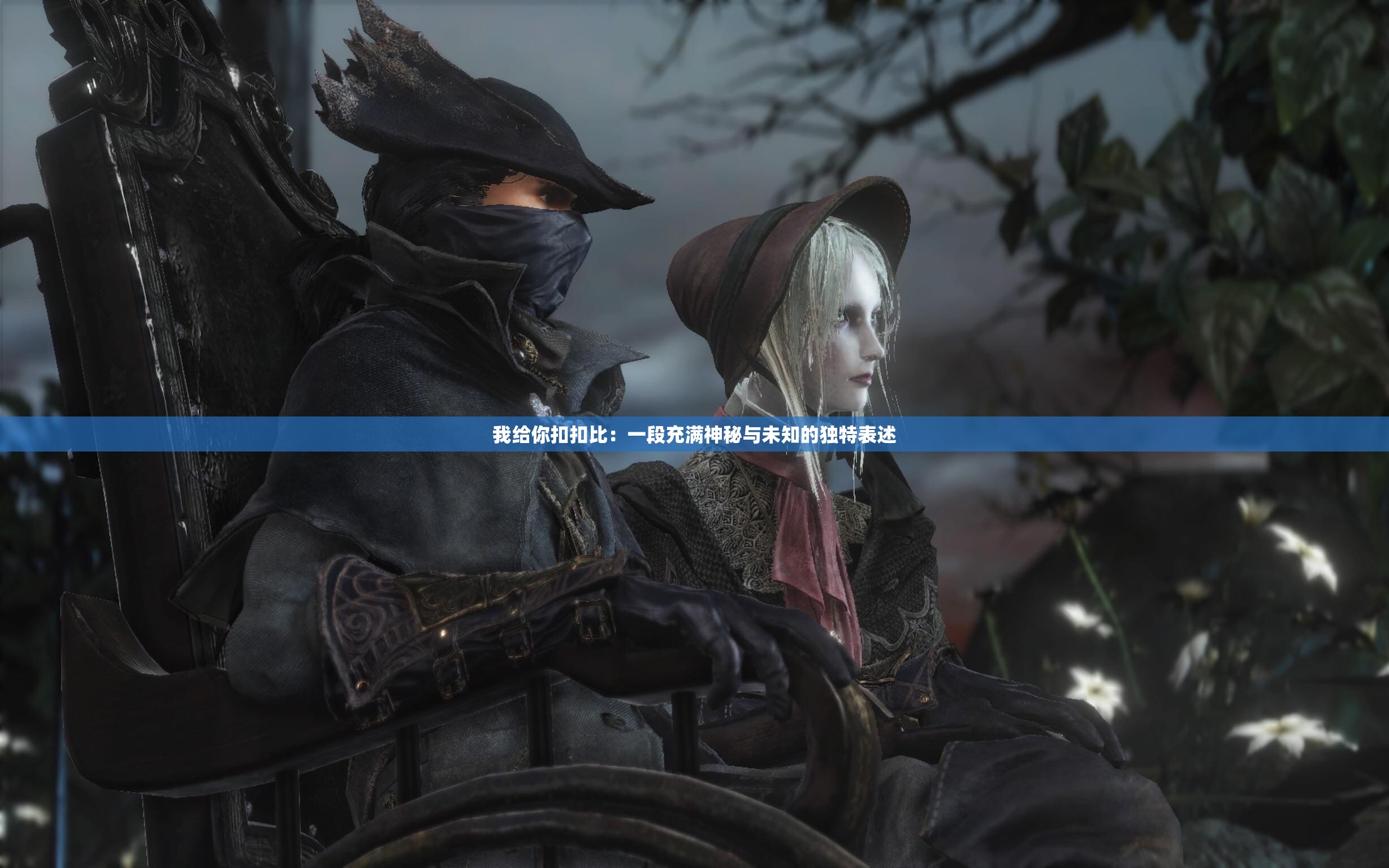 我给你扣扣比：一段充满神秘与未知的独特表述