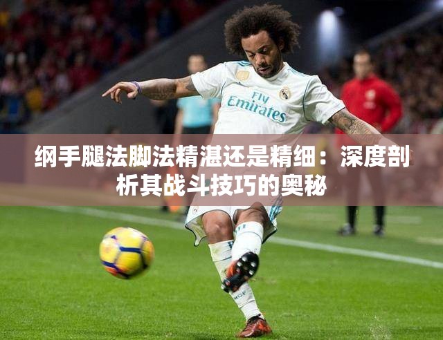 纲手腿法脚法精湛还是精细：深度剖析其战斗技巧的奥秘