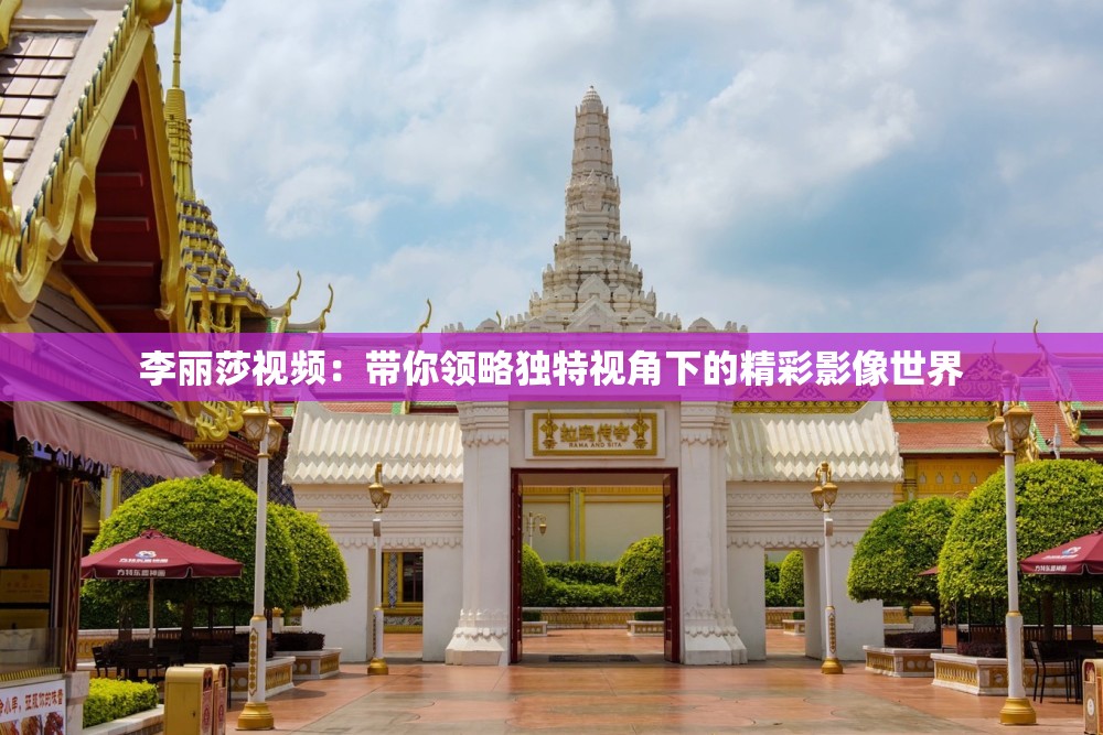 李丽莎视频：带你领略独特视角下的精彩影像世界