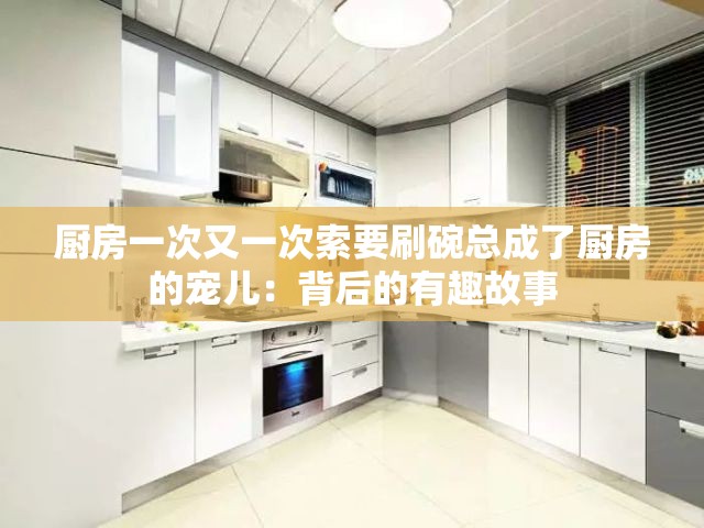 厨房一次又一次索要刷碗总成了厨房的宠儿：背后的有趣故事