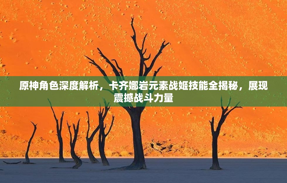 原神角色深度解析，卡齐娜岩元素战姬技能全揭秘，展现震撼战斗力量