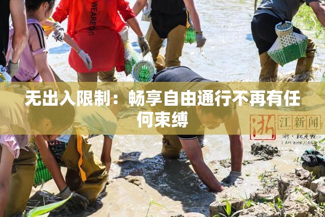 无出入限制：畅享自由通行不再有任何束缚