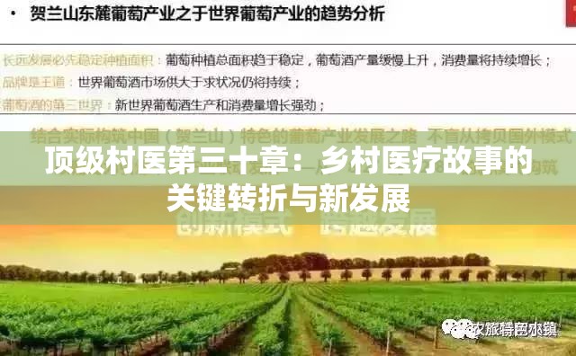 顶级村医第三十章：乡村医疗故事的关键转折与新发展