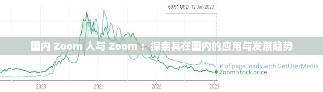 国内 Zoom 人与 Zoom ：探索其在国内的应用与发展趋势