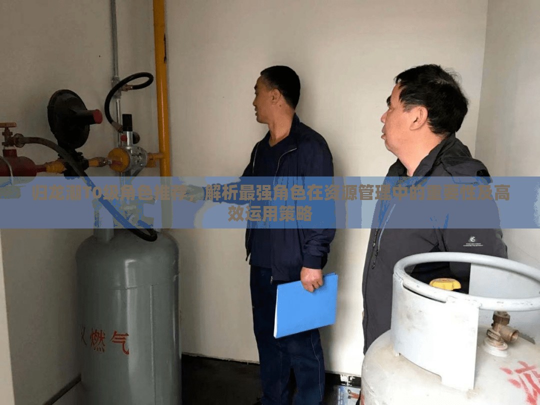 归龙潮T0级角色推荐，解析最强角色在资源管理中的重要性及高效运用策略