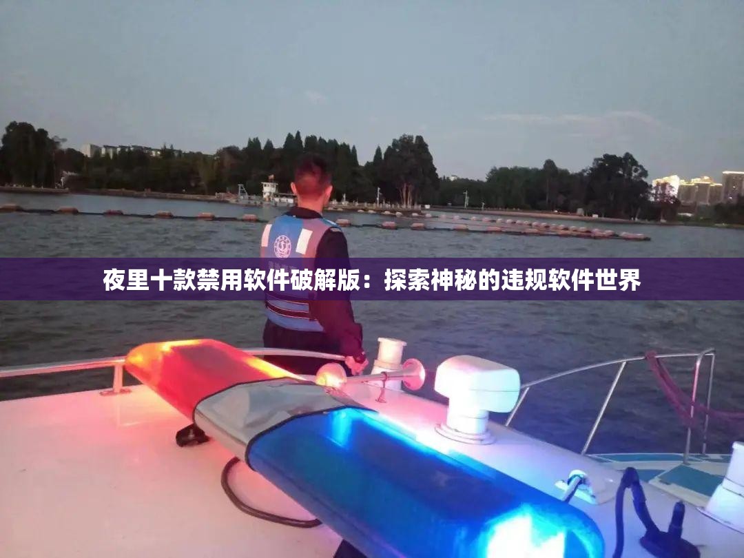 夜里十款禁用软件破解版：探索神秘的违规软件世界