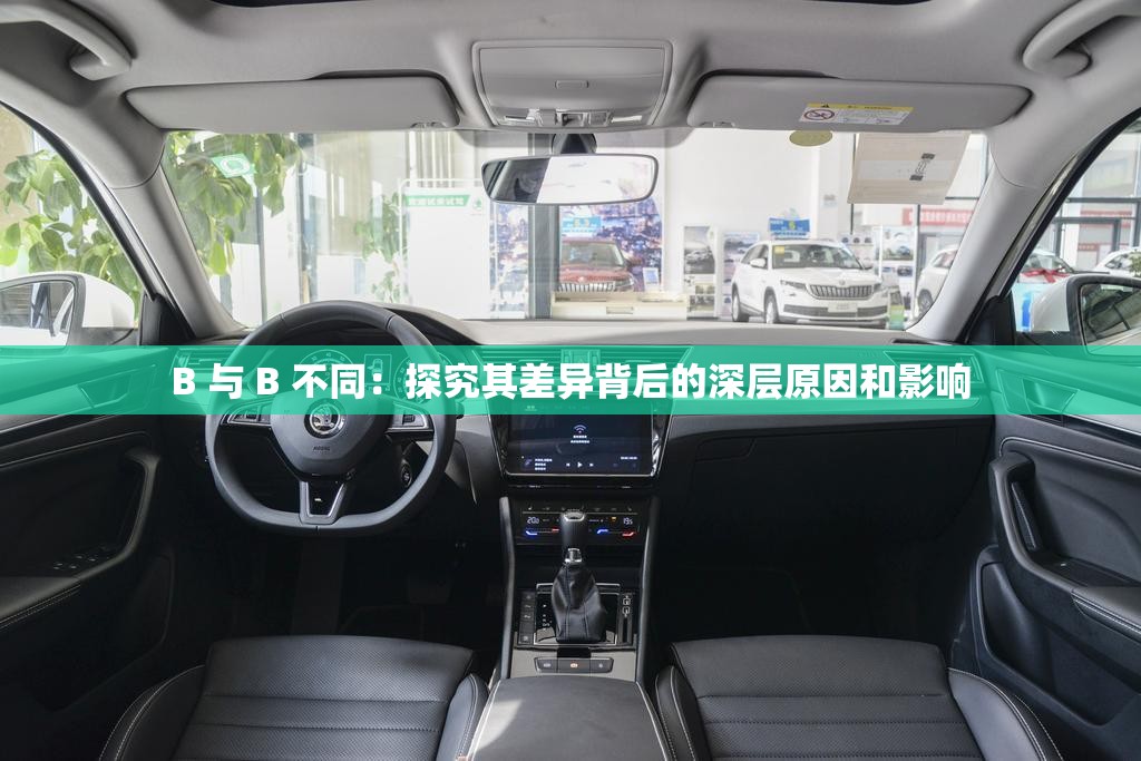 B 与 B 不同：探究其差异背后的深层原因和影响