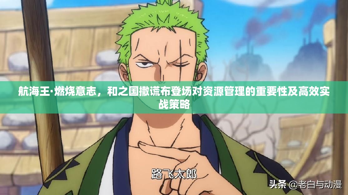 航海王·燃烧意志，和之国撒谎布登场对资源管理的重要性及高效实战策略