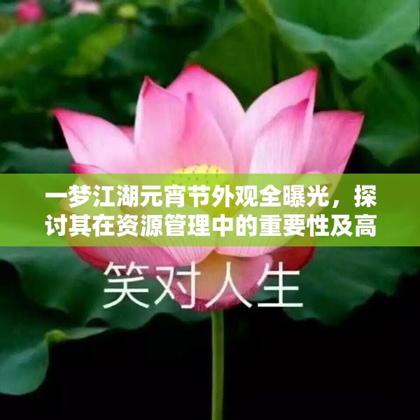 一梦江湖元宵节外观全曝光，探讨其在资源管理中的重要性及高效整合利用策略