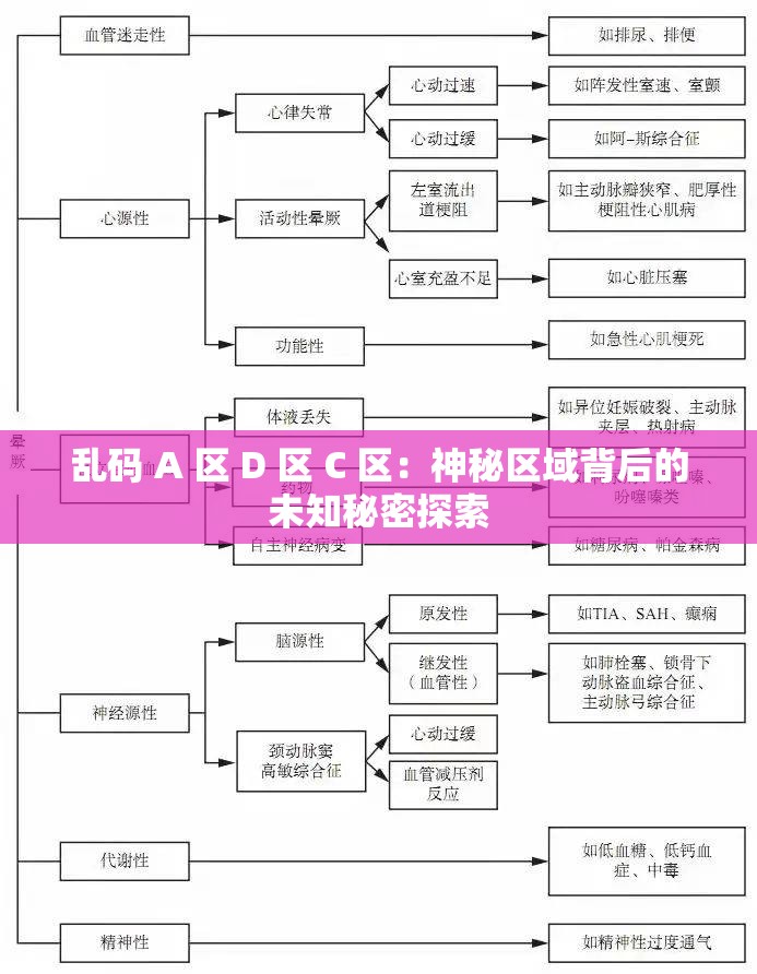 乱码 A 区 D 区 C 区：神秘区域背后的未知秘密探索