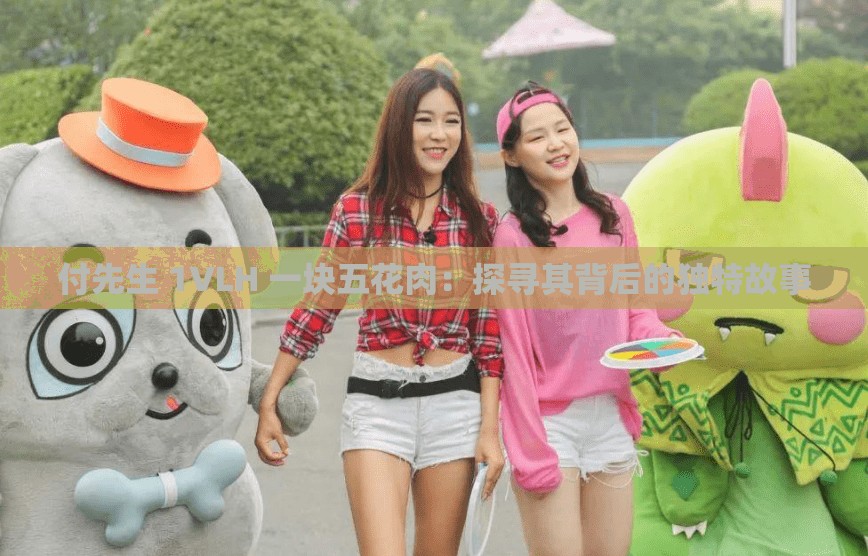 付先生 1VLH 一块五花肉：探寻其背后的独特故事