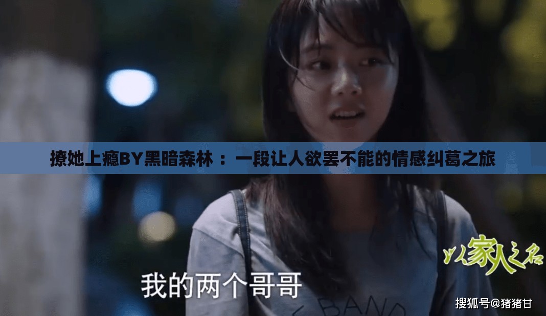 撩她上瘾BY黑暗森林 ：一段让人欲罢不能的情感纠葛之旅