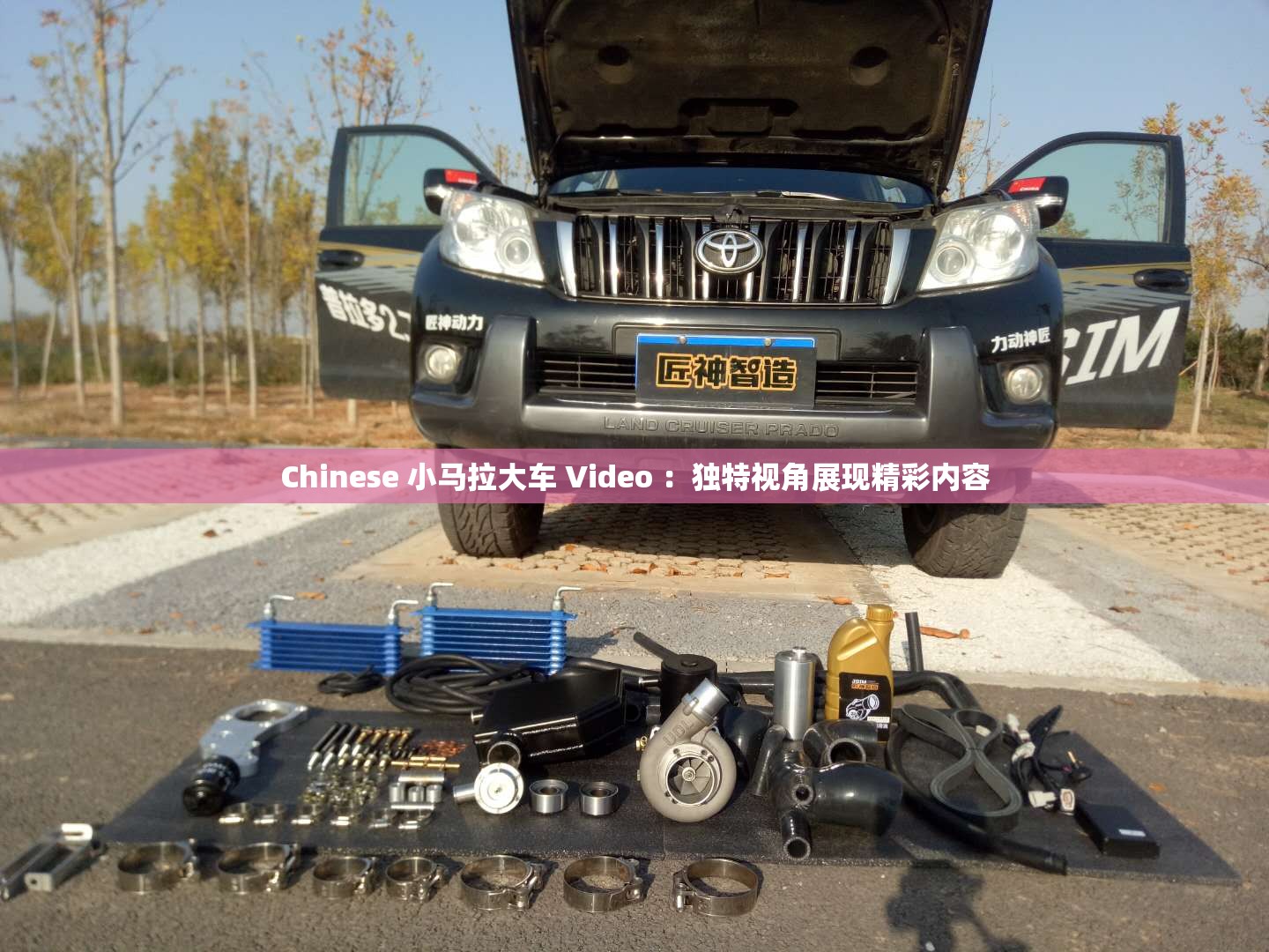 Chinese 小马拉大车 Video ：独特视角展现精彩内容