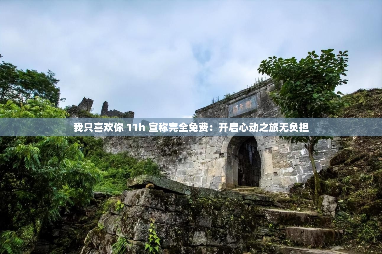 我只喜欢你 11h 宣称完全免费：开启心动之旅无负担