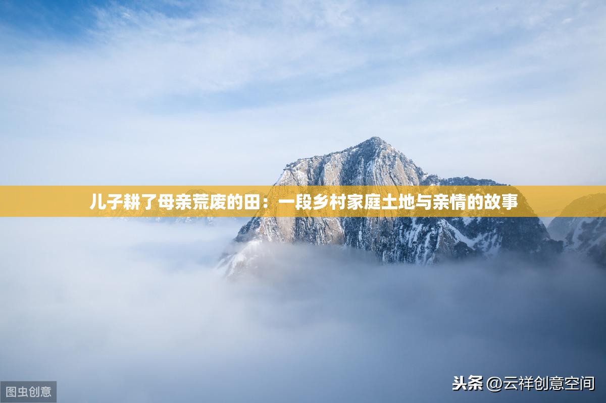 儿子耕了母亲荒废的田：一段乡村家庭土地与亲情的故事