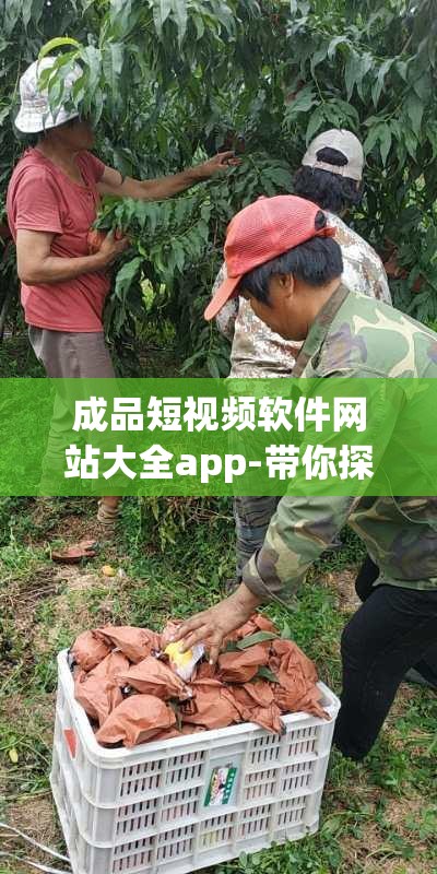 成品短视频软件网站大全app-带你探索精彩短视频世界