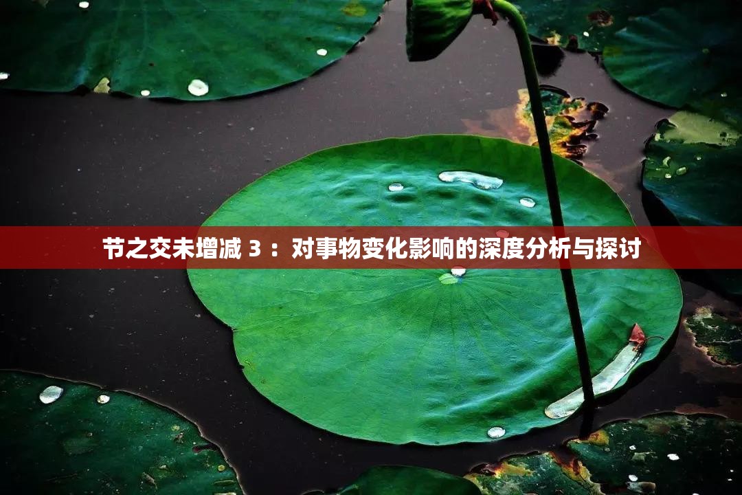 节之交未增减 3 ：对事物变化影响的深度分析与探讨