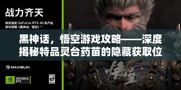 黑神话，悟空游戏攻略——深度揭秘特品灵台药苗的隐藏获取位置
