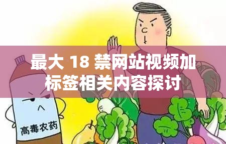 最大 18 禁网站视频加标签相关内容探讨