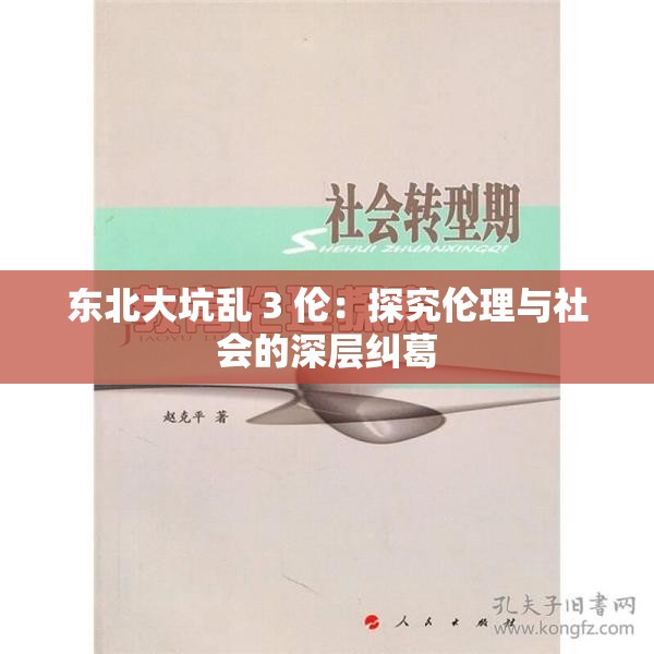 东北大坑乱 3 伦：探究伦理与社会的深层纠葛