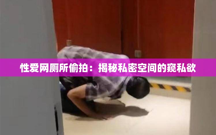 性爱网厕所偷拍：揭秘私密空间的窥私欲