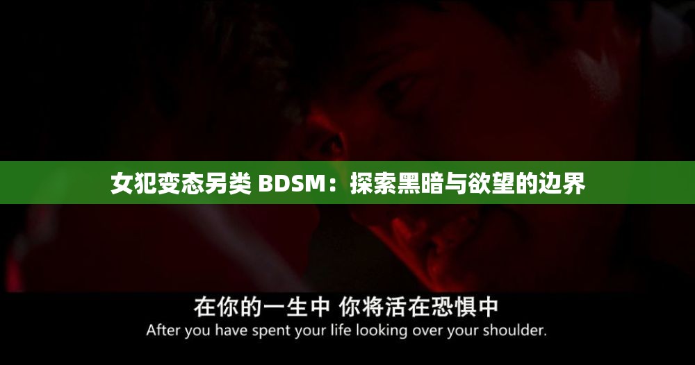 女犯变态另类 BDSM：探索黑暗与欲望的边界