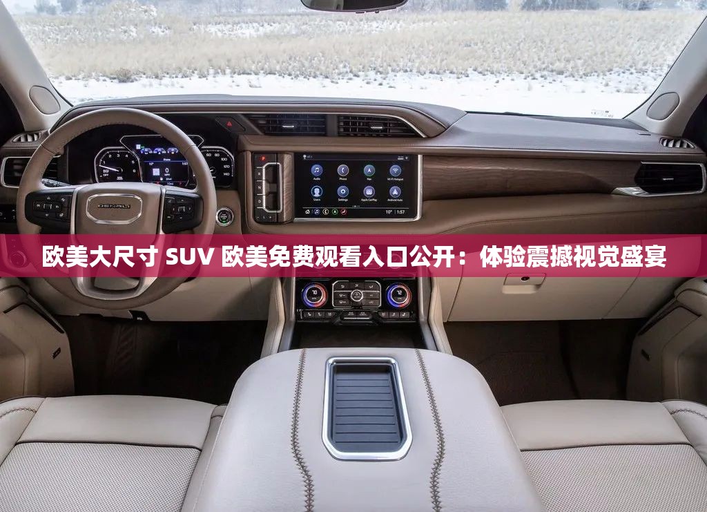 欧美大尺寸 SUV 欧美免费观看入口公开：体验震撼视觉盛宴
