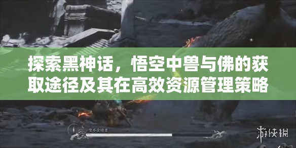 探索黑神话，悟空中兽与佛的获取途径及其在高效资源管理策略中的核心作用