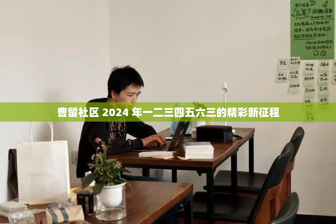 曹留社区 2024 年一二三四五六三的精彩新征程