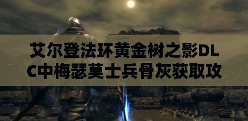 艾尔登法环黄金树之影DLC中梅瑟莫士兵骨灰获取攻略及资源管理技巧