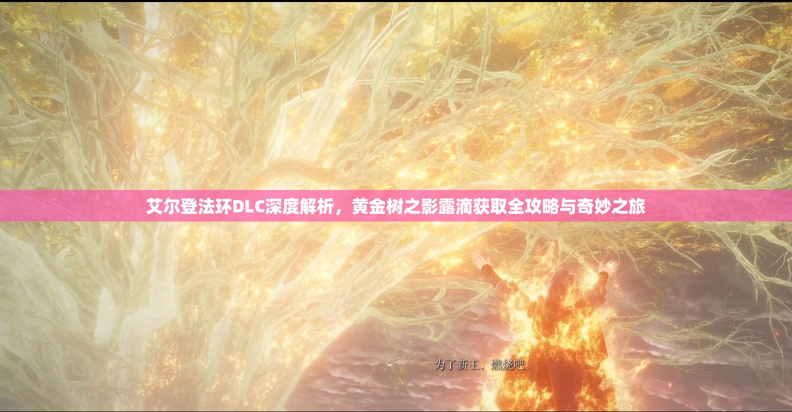艾尔登法环DLC深度解析，黄金树之影露滴获取全攻略与奇妙之旅