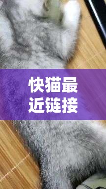 快猫最近链接是多少 KM8KW 相关内容解析