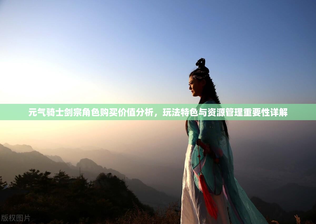 元气骑士剑宗角色购买价值分析，玩法特色与资源管理重要性详解