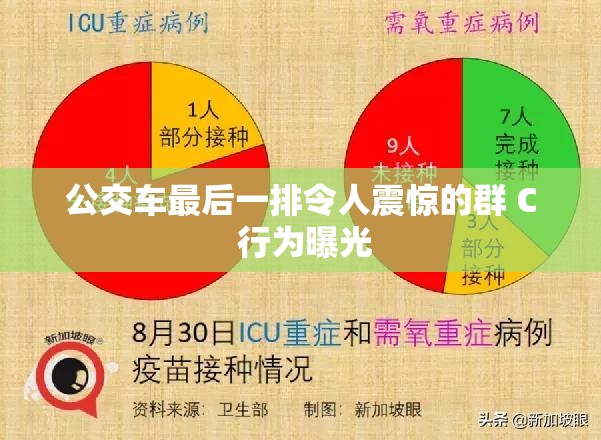 公交车最后一排令人震惊的群 C 行为曝光