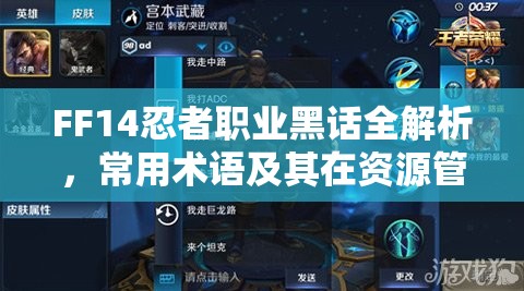 FF14忍者职业黑话全解析，常用术语及其在资源管理中的关键角色