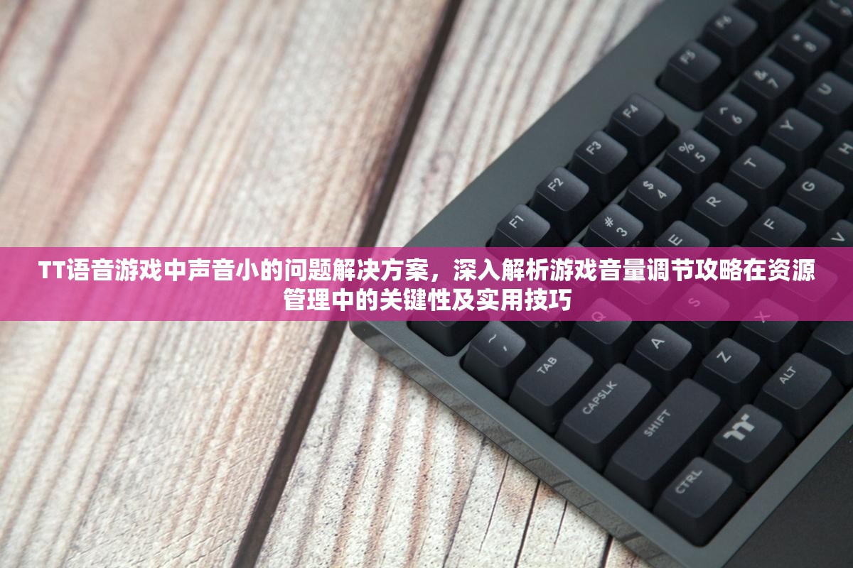 TT语音游戏中声音小的问题解决方案，深入解析游戏音量调节攻略在资源管理中的关键性及实用技巧