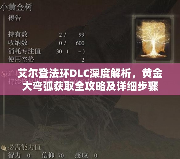 艾尔登法环DLC深度解析，黄金大弯弧获取全攻略及详细步骤