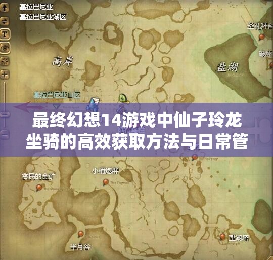 最终幻想14游戏中仙子玲龙坐骑的高效获取方法与日常管理技巧