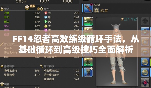 FF14忍者高效练级循环手法，从基础循环到高级技巧全面解析
