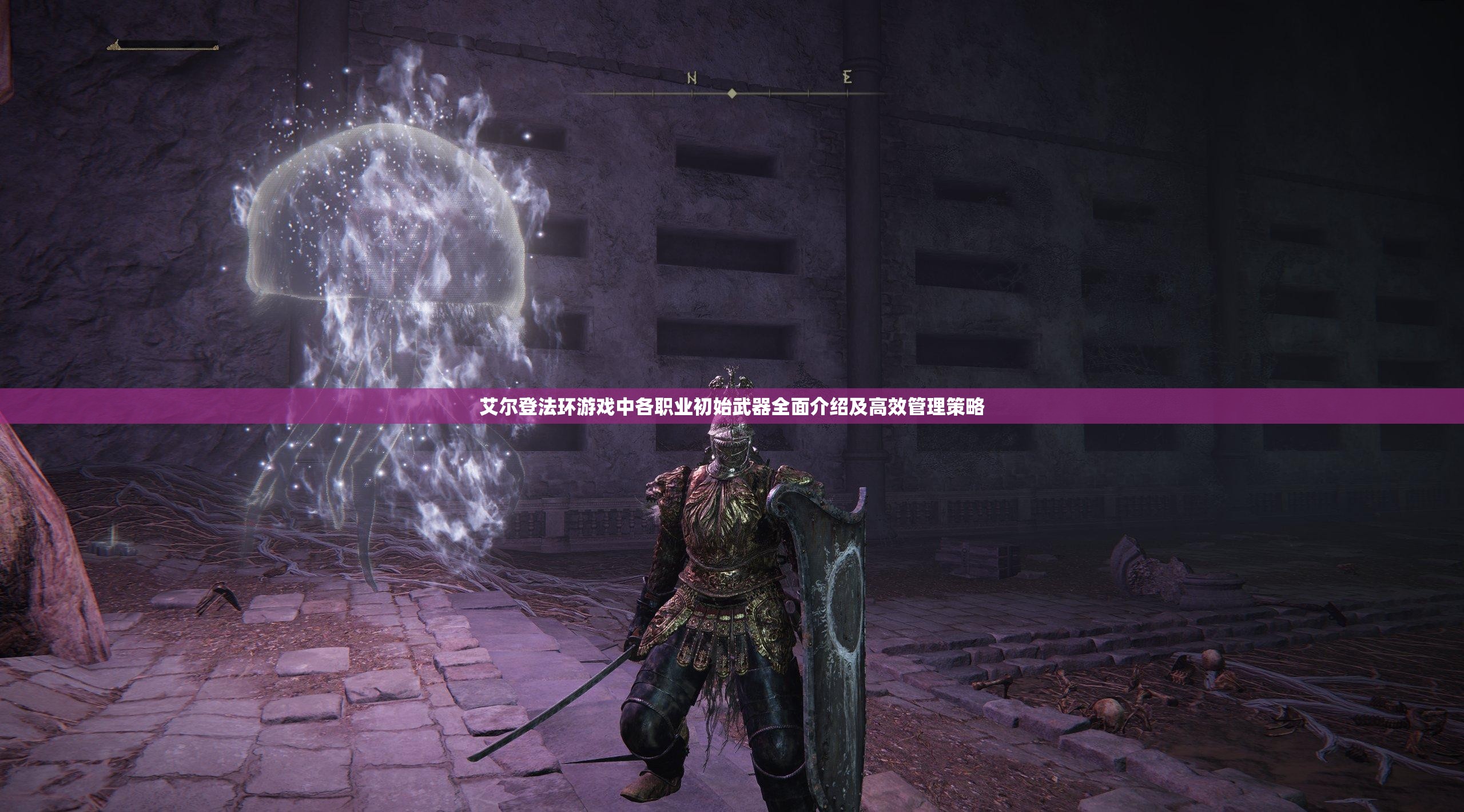 艾尔登法环游戏中各职业初始武器全面介绍及高效管理策略