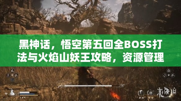黑神话，悟空第五回全BOSS打法与火焰山妖王攻略，资源管理的高效运用策略汇总